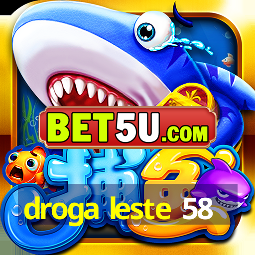 droga leste 58